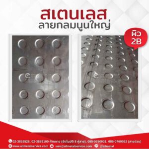 สเตนเลสลายกลมนูนใหญ่