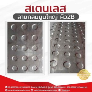สเตนเลสลายกลมนูนใหญ่